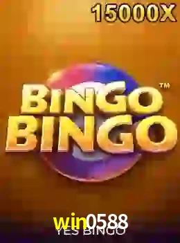 bingobingo